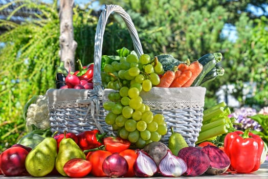 Fresh organic vegetables and fruits in the garden. Balanced diet