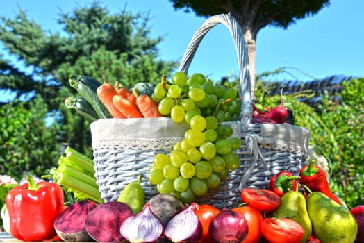 Fresh organic vegetables and fruits in the garden. Balanced diet