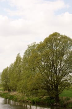 A row of trees stands at a river spur and is reflected in the water.