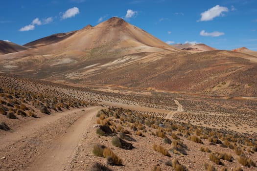 Gravel road running through the colourful desert landscape in Lauca National Park set in the altiplano of northern Chile