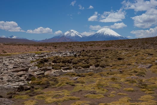 Snow and ice covered peaks of the volcanoes Parinacota (6342m) and Pomerape (6240m), tower above the altiplano in Lauca National Park, northern Chile.