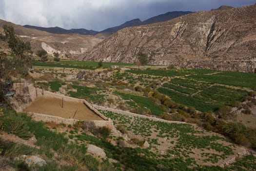 Small town of Putre in the Arica and Parinacota region of northern Chile. The small town sits in a fertile valley below the dormant Taapaca volcano (5860 m).