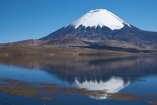 Snow capped Parinacota Volcano, 6,324m high, reflected in Lake Chungara in the Altiplano of northern Chile.