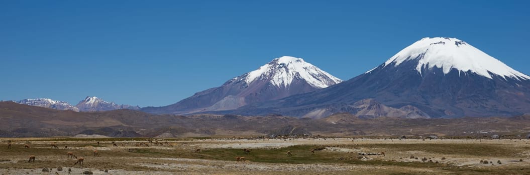 Snow and ice covered peaks of the volcanoes Parinacota (6342m) and Pomerape (6240m), tower above the altiplano in Lauca National Park, northern Chile.