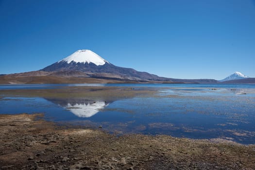 Snow capped Parinacota Volcano, 6,324m high, towering over Lake Chungara in the Altiplano of northern Chile.