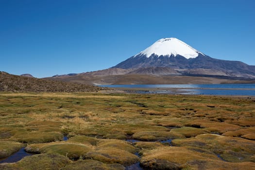 Snow capped Parinacota Volcano, 6,324m high, towering over Lake Chungara in the Altiplano of northern Chile.