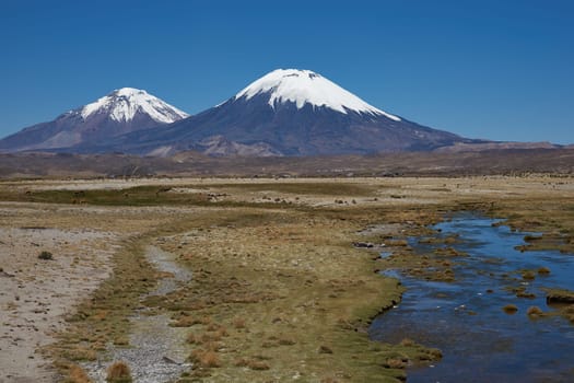 Snow and ice covered peaks of the volcanoes Parinacota (6342m) and Pomerape (6240m), tower above the altiplano in Lauca National Park, northern Chile.