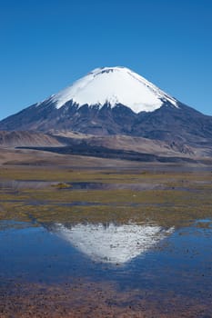 Snow capped Parinacota Volcano, 6,324m high, reflected in Lake Chungara in the Altiplano of northern Chile.