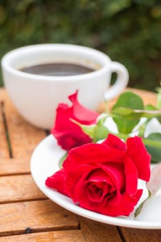 Cup of black coffee in home garden, stock photo