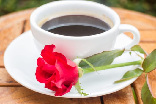 Cup of black coffee in home garden, stock photo