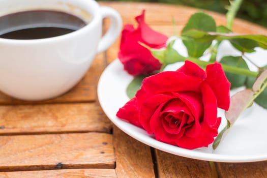 Cup of black coffee in home garden, stock photo