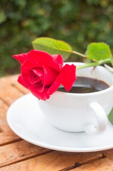 Cup of black coffee in home garden, stock photo