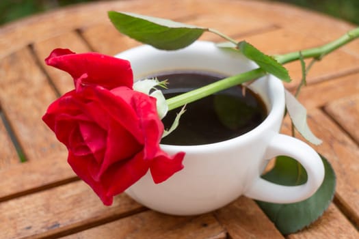 Cup of black coffee in home garden, stock photo