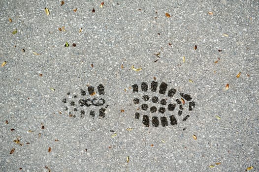 Profile of a shoe print