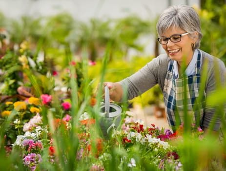 Beautiful mature woman gardening and looking at camera while smiling