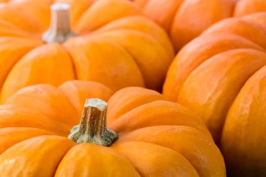 Pumpkin background