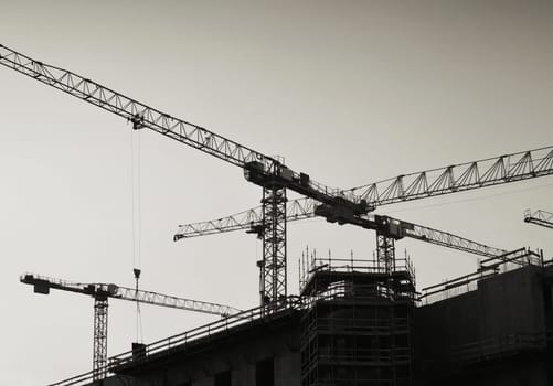 Construction cranes on the construction site of the Stadtschloss in Berlin