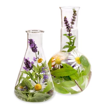 Glass flask with medicinal herbs