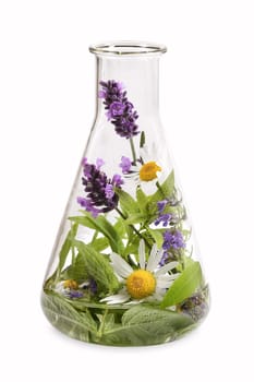 Glass flask with medicinal herbs