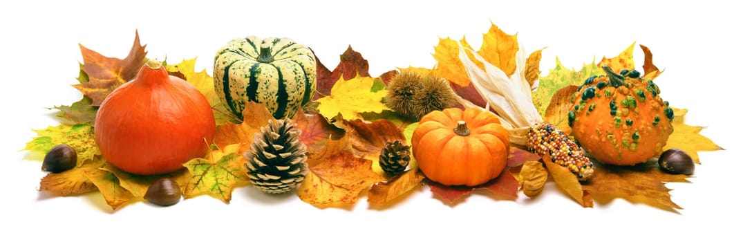 Autumn decoration in panorama format,arranged from foliage,pumpkins and cones