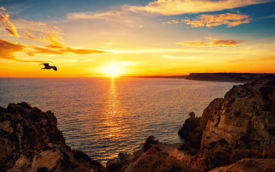 Tranquil sunset scenery at the ocean with the sunlight reflected on the water,a flying bird and the rocky coast