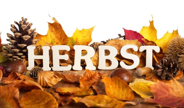 Autumn lettering on dry foliage and wood,exposed on white background