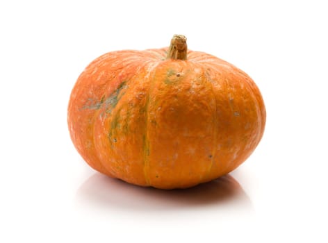 Pumpkin isolated on white background.