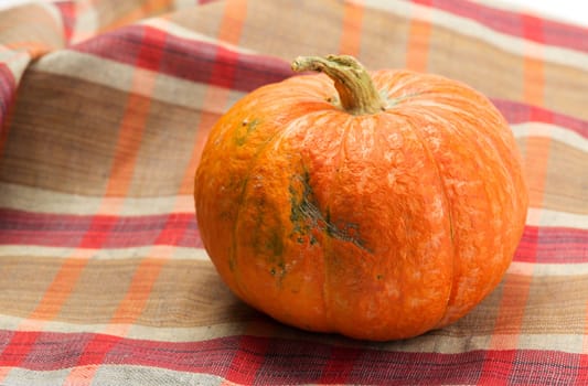 Pumpkin on a checkered national fabric.