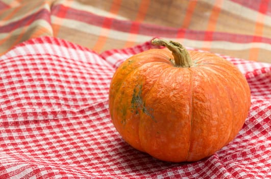 Pumpkin on a red and white checkered cloth.