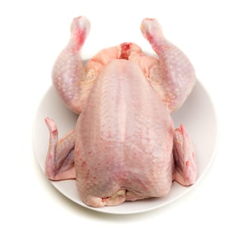 Raw chicken carcass isolate on a white background