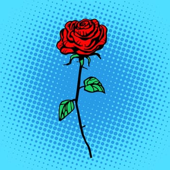 Flower red rose stem with thorns a symbol of love and romance