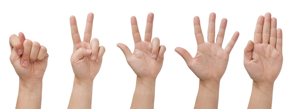 set of five isolated hands with various gestures