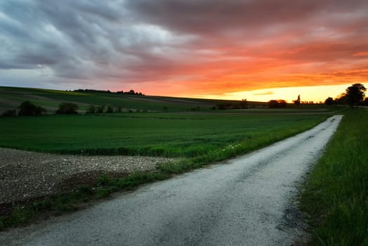 Grain field Kornfeld at sunset