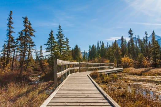 Landscape of the boardwalk along Policeman's Creek in Kananaskis, Alberta.