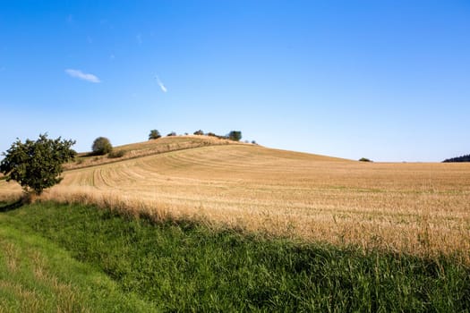 rural summer landscape in czech Republic - region Vysocina
