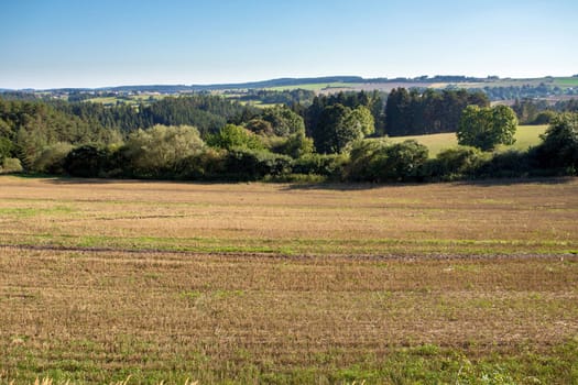 rural summer landscape in czech Republic - region Vysocina
