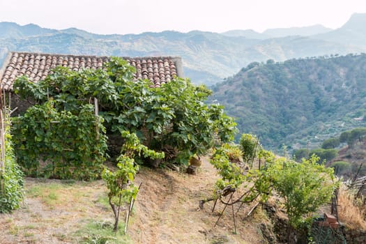 Agricultural shed in a small sicilian village