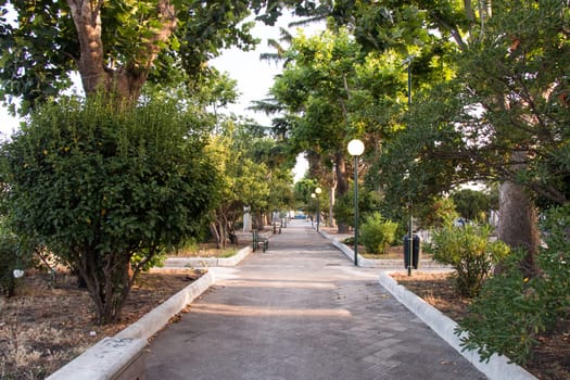 City Park with benches and night light