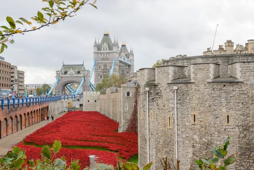 LONDON, UK - NOVEMBER 08