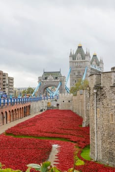 LONDON, UK - NOVEMBER 08
