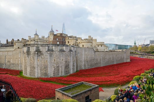 LONDON, UK - NOVEMBER 08