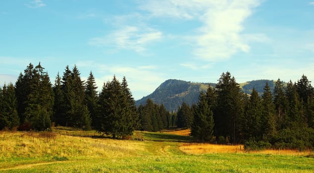Oberjoch Bayern Deutschland / Hill Moor Oberjoch Bavaria Germany