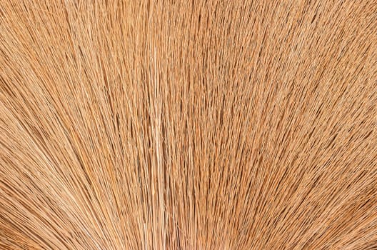 Pattern of a grass for background