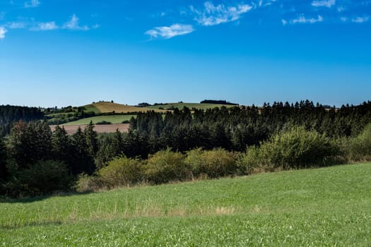 rural summer landscape in czech Republic - region Vysocina