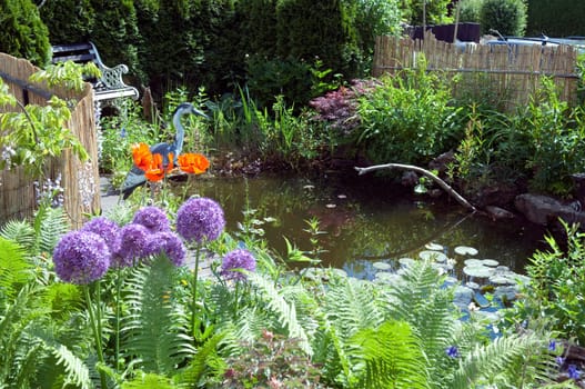 Garden pond  water  Water plant