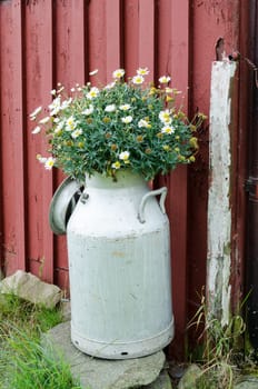 old milk judge with beutiful flower stand one one stone
