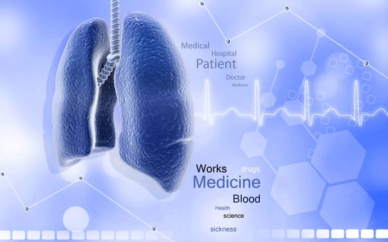 Digital illustration of human lungs in colour background
