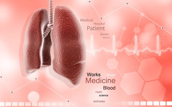 Digital illustration of human lungs in colour background