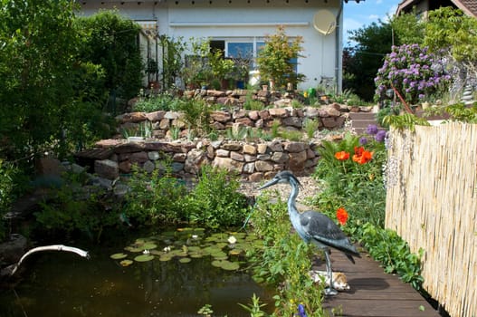 Stone garden  Dry stone wall  fuenf,months after planting