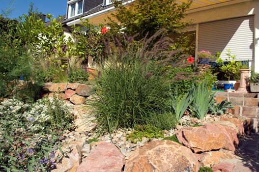 Stone garden  Dry stone wall  fuenf,months after planting